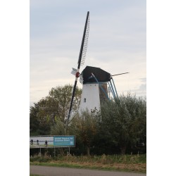 Colijnsplaat - De Oude Molen 01